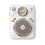 FM 4 in 1 Smart Bluetooth Speaker