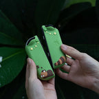 Kawaii Red Panda Picnic Switch Case OLED/NS2