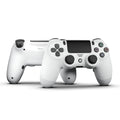 PS4 Basic Pick