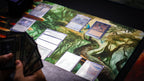 "Swordfall Forest" — Fallen Lands Playmat by Carlos Balarezo